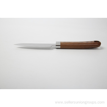 STAINLESS STEEL FRUIT KNIFE